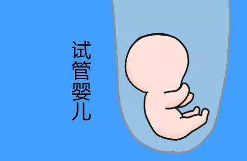 供卵机构电话